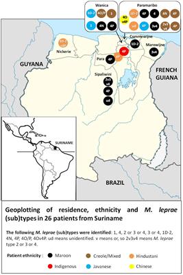 Origin and spread of leprosy in Suriname. A historical and biomedical study